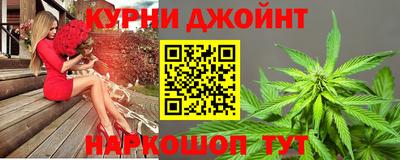 PSILOCYBIN Можга