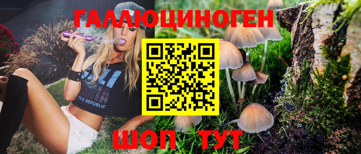 Белгород  Псилоцибиновые грибы Magic Shrooms  купить  цена  Галлюциногенные грибы Cubensis  Вход с VPN 