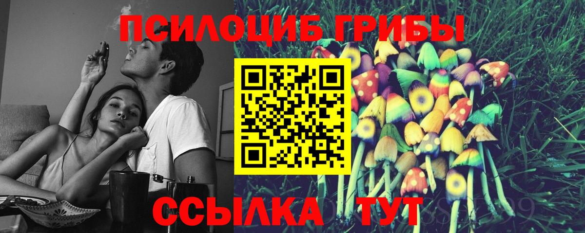 Псилоцибиновые грибы мухоморы Белгород