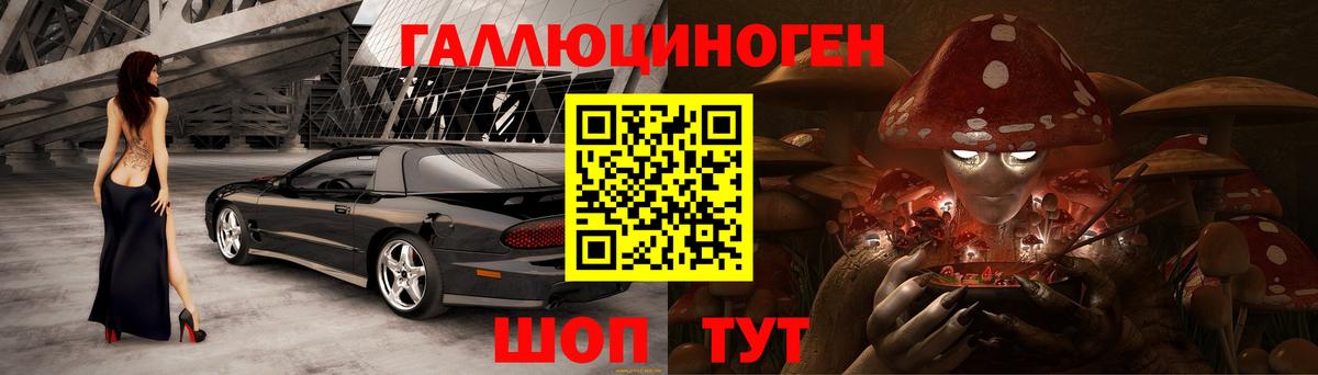 Галлюциногенные грибы Psilocybe Белгород